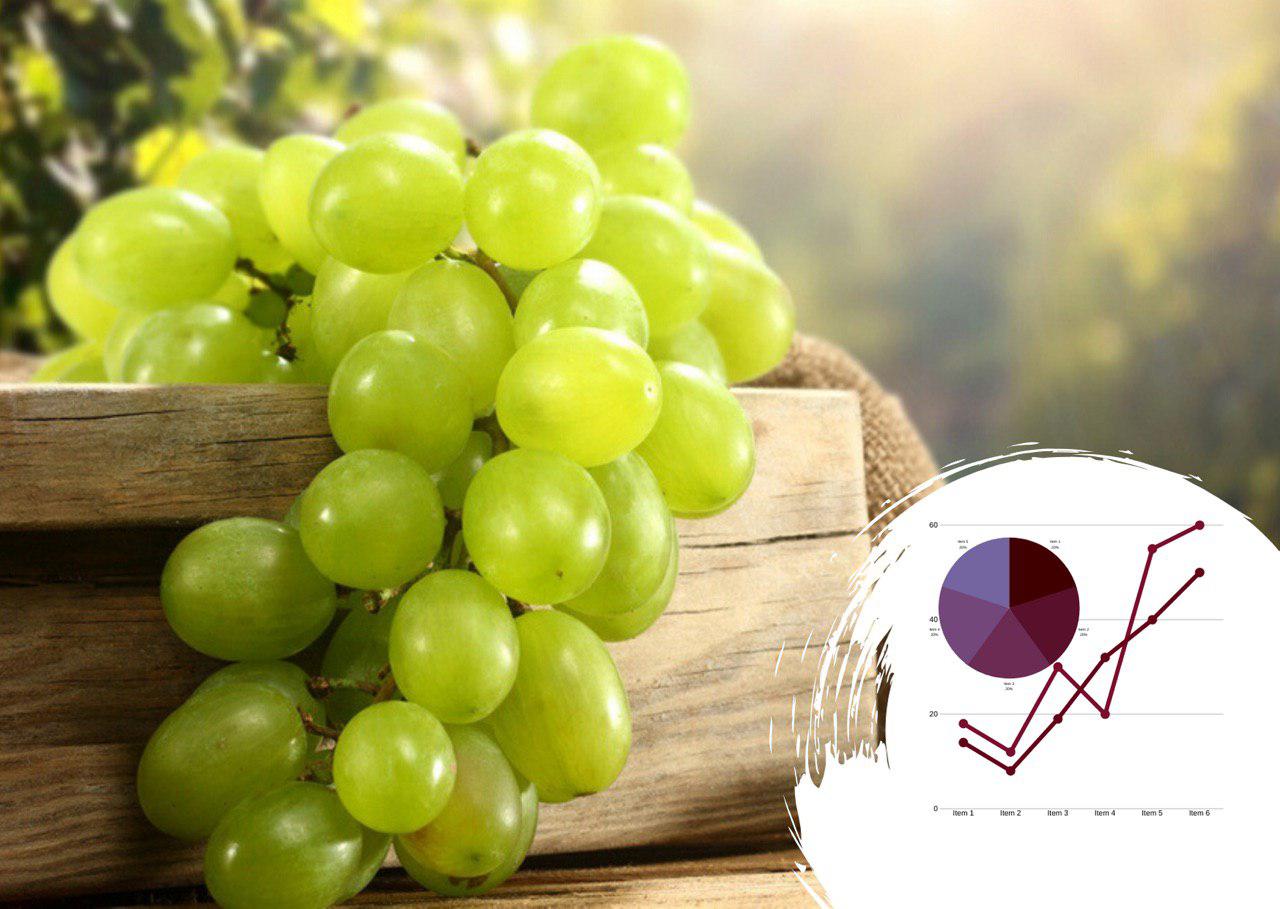 Бізнес-план сховища винограду: збережемо вітаміни для народу, а прибуток для виробника